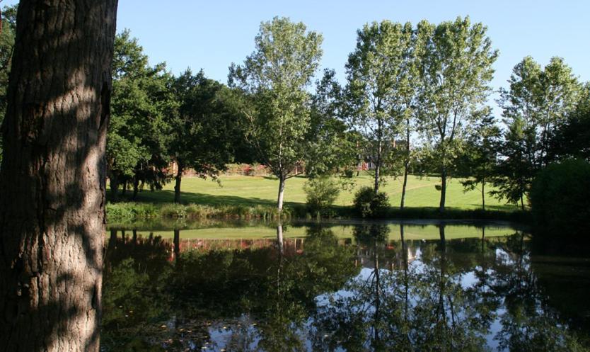 Domaine De Vilotte Bed and Breakfast Ardenais Buitenkant foto